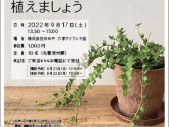 【9月度 らいぶらりー・すうぃーつ講座】木の香りが楽しめる鉢に垂れ下がる植物を植えましょう